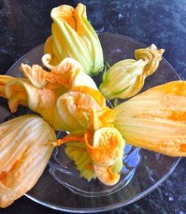 squash-flowers-261x300.jpeg