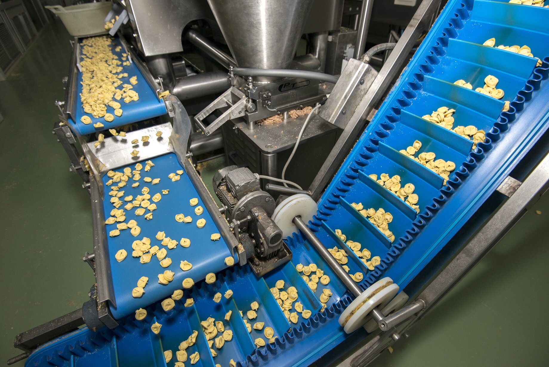 food processing line pasta_C (1).jpg