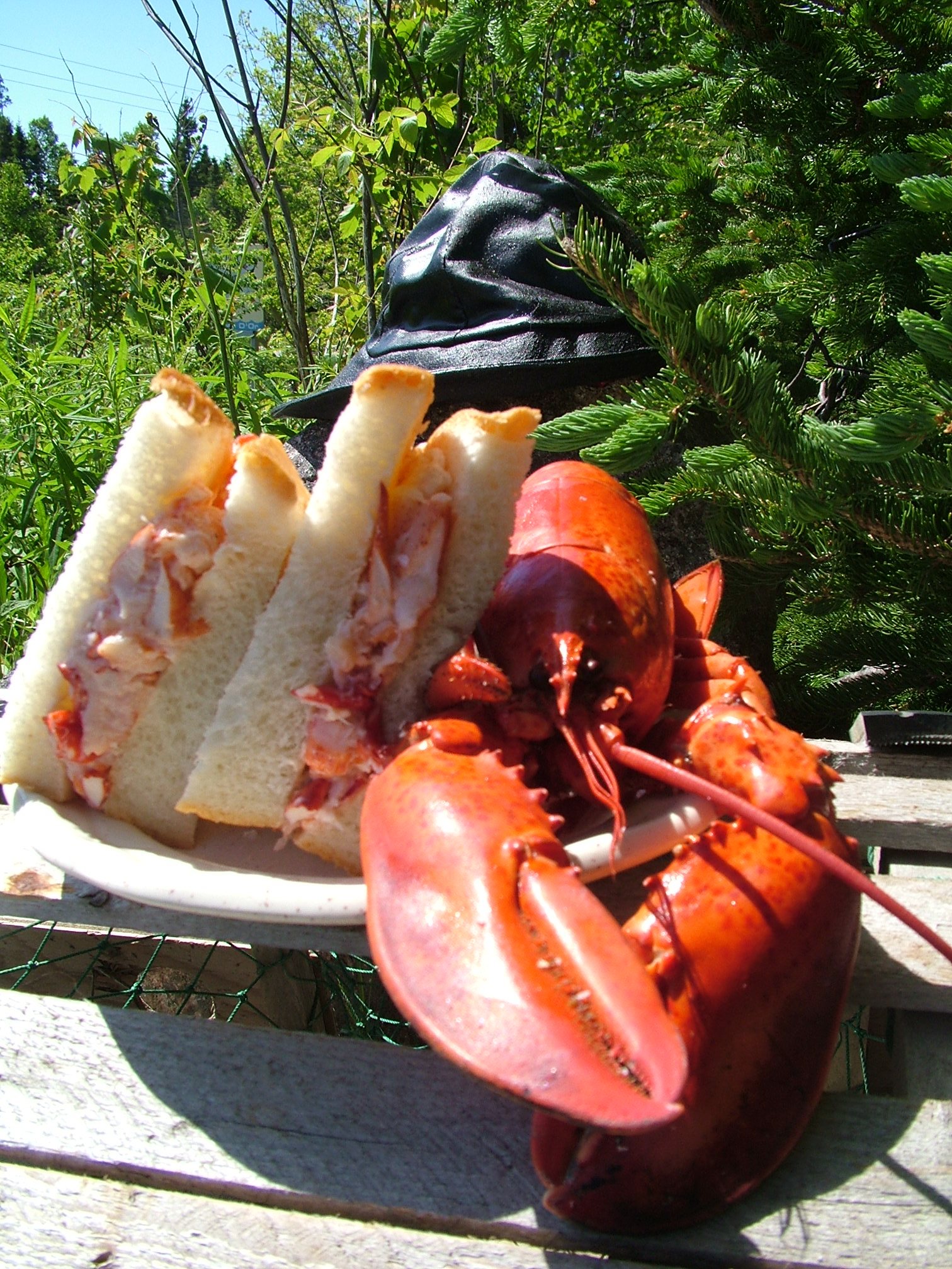 Famous Lobster Sandwiches since 1978!