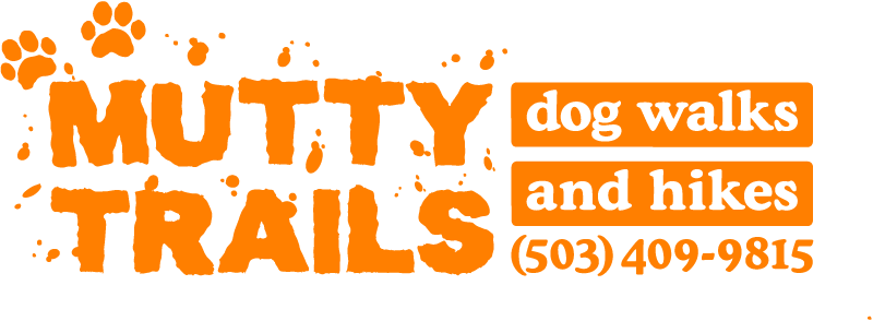 Mutty Trails - Adventure Dog Walks &amp; Hikes  