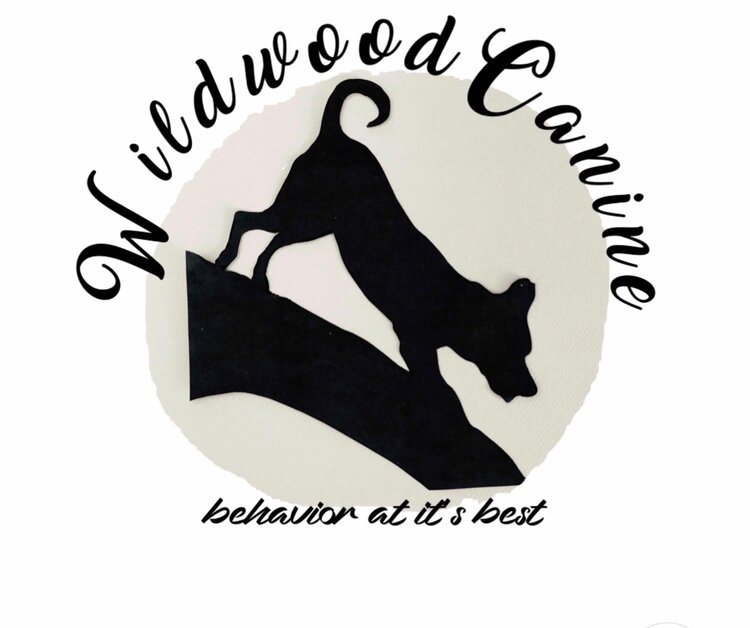 Wildwood Canine