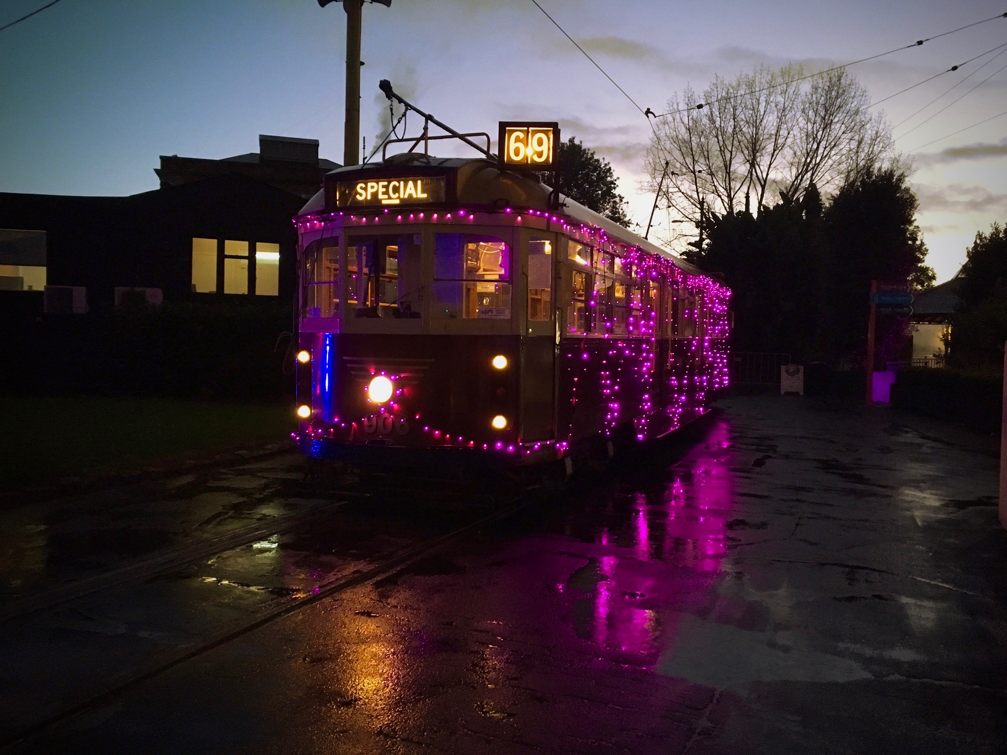 motat | pink tram for matariki