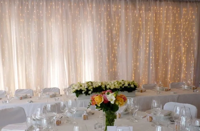 3m curtain lights with white organza
