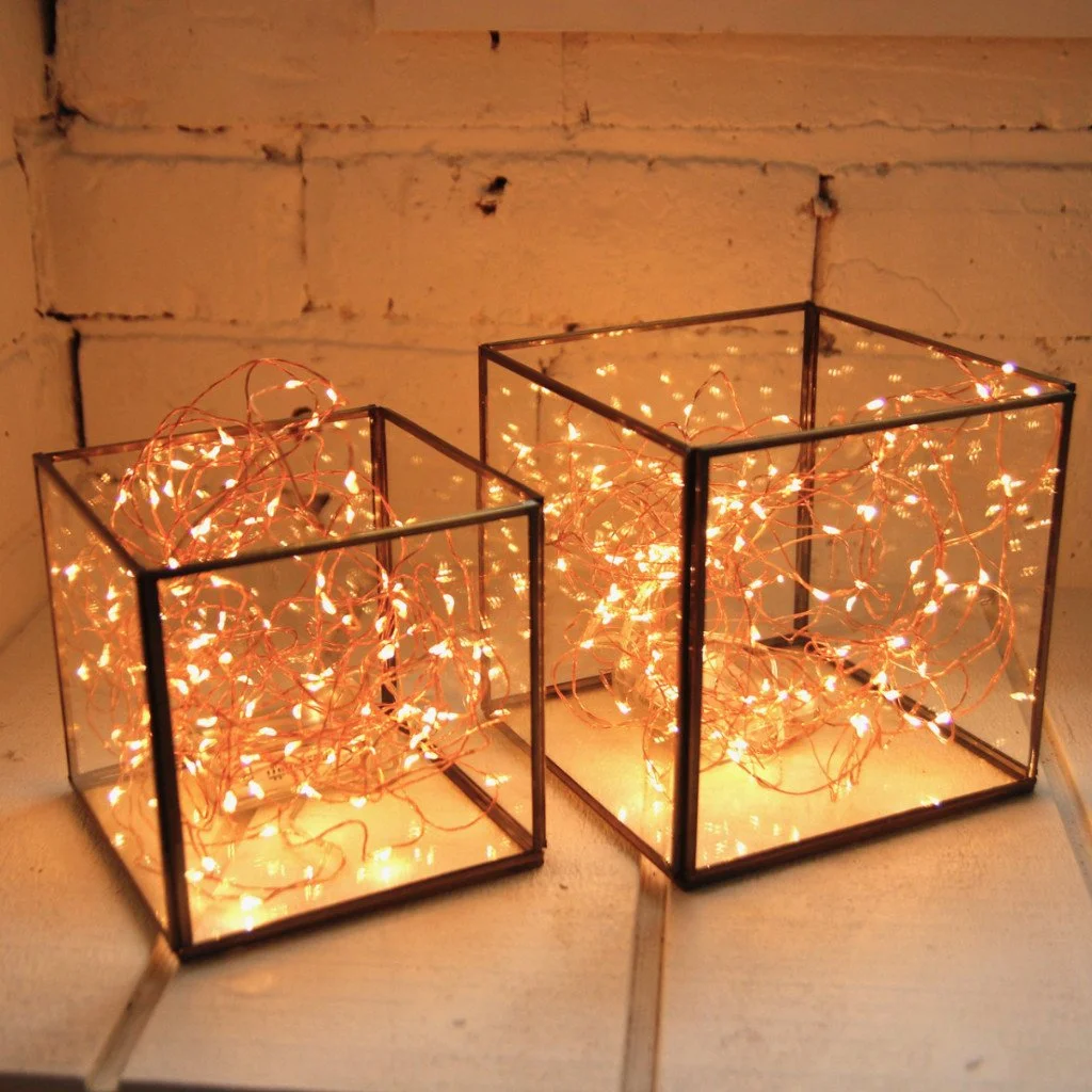 glass box with seed lights