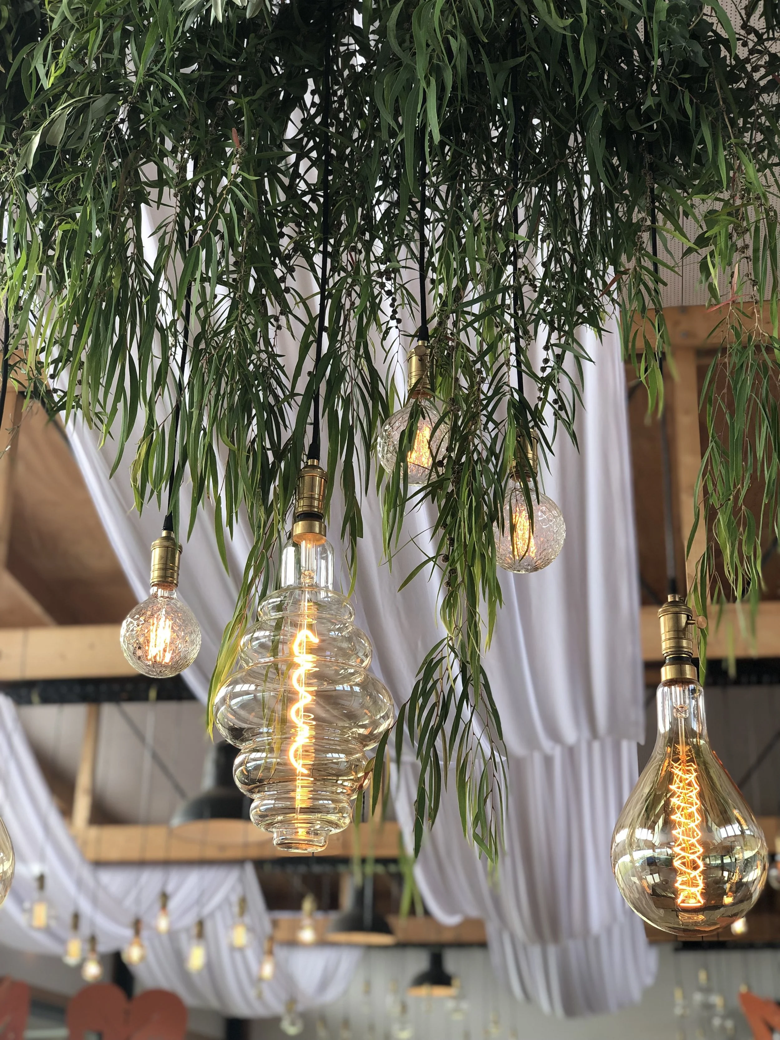 giant bulb pendants 300mm tall $50+gst *install only