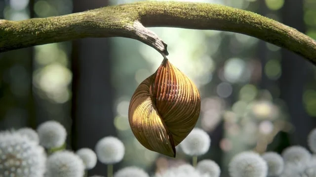 Hyundai Brand Video Sonata_ProRes_H264