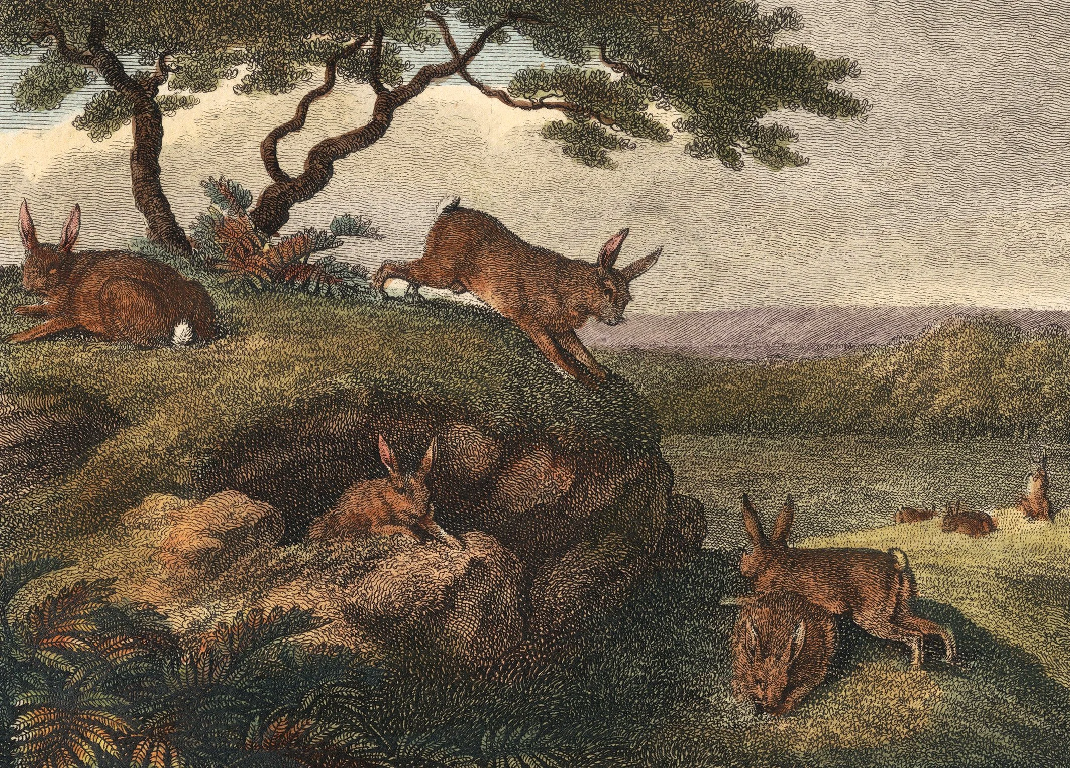 folktales-11.jpg