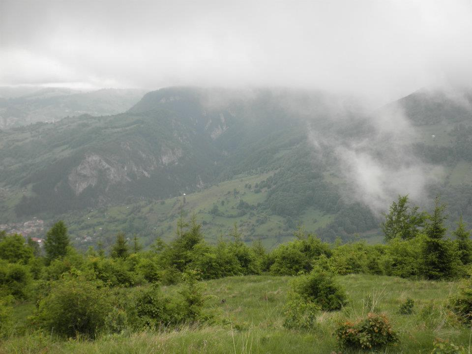 Agriculture, Romania