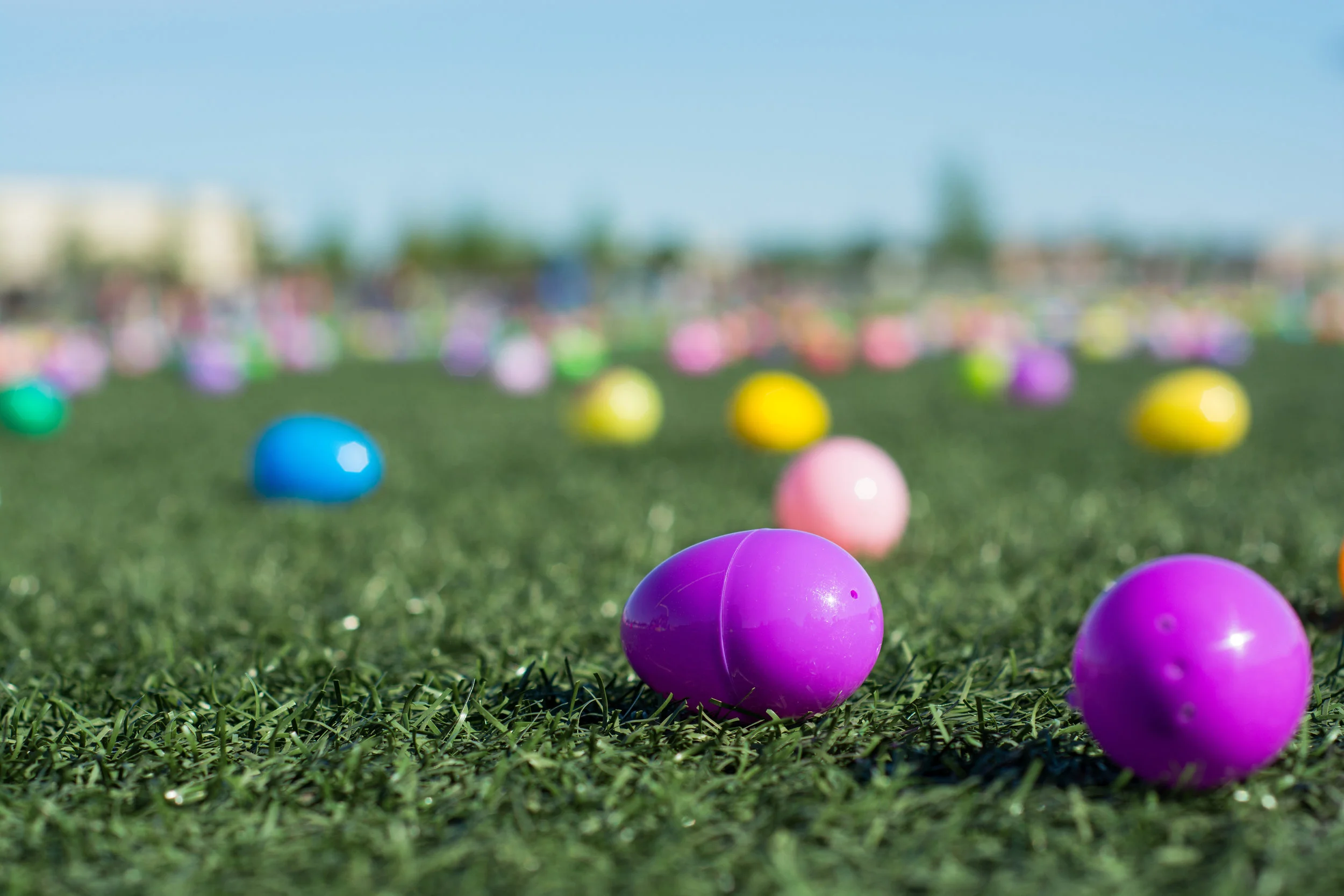 Egg Hunt.jpeg