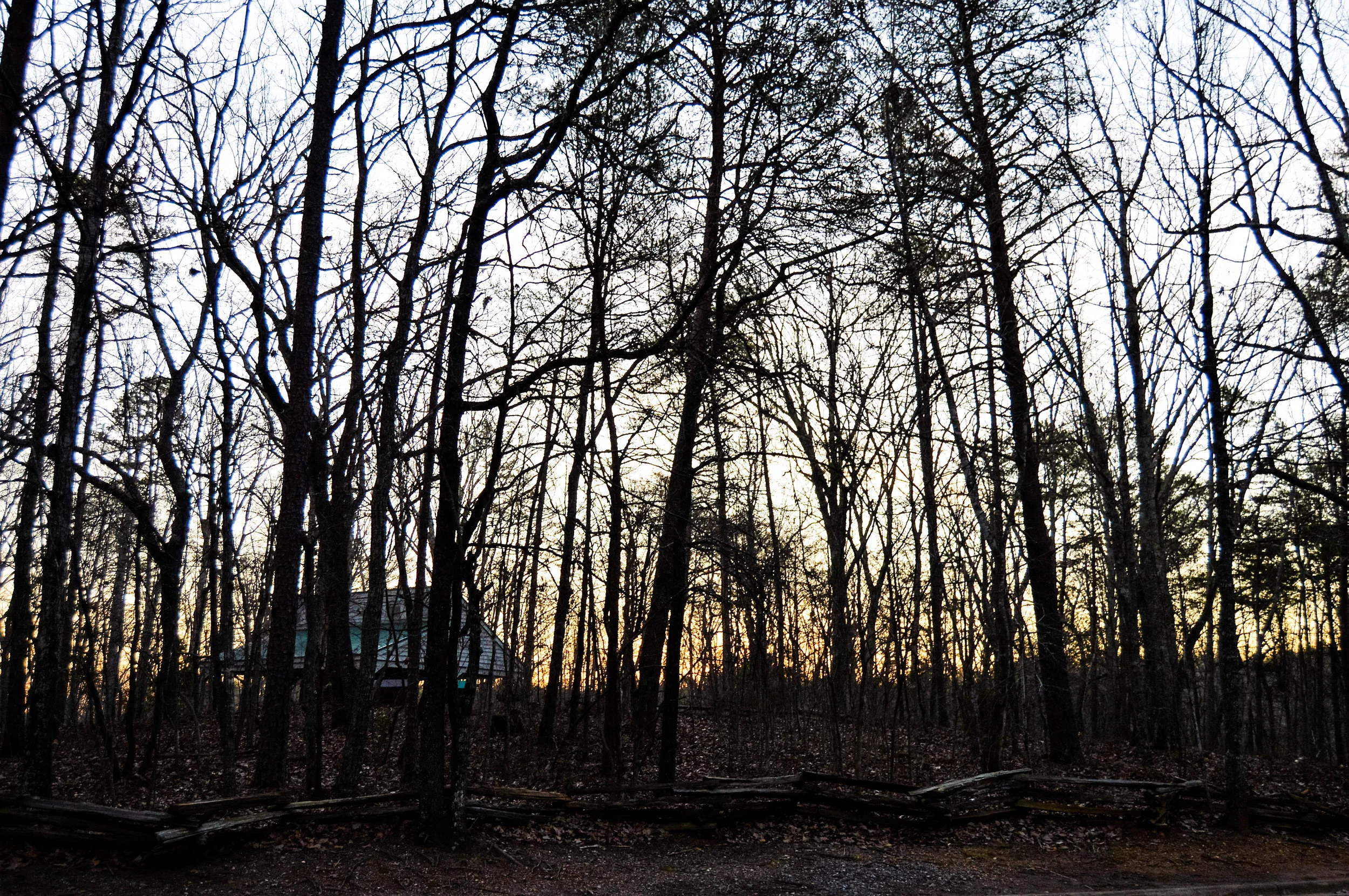DSC_0781 (2).jpg