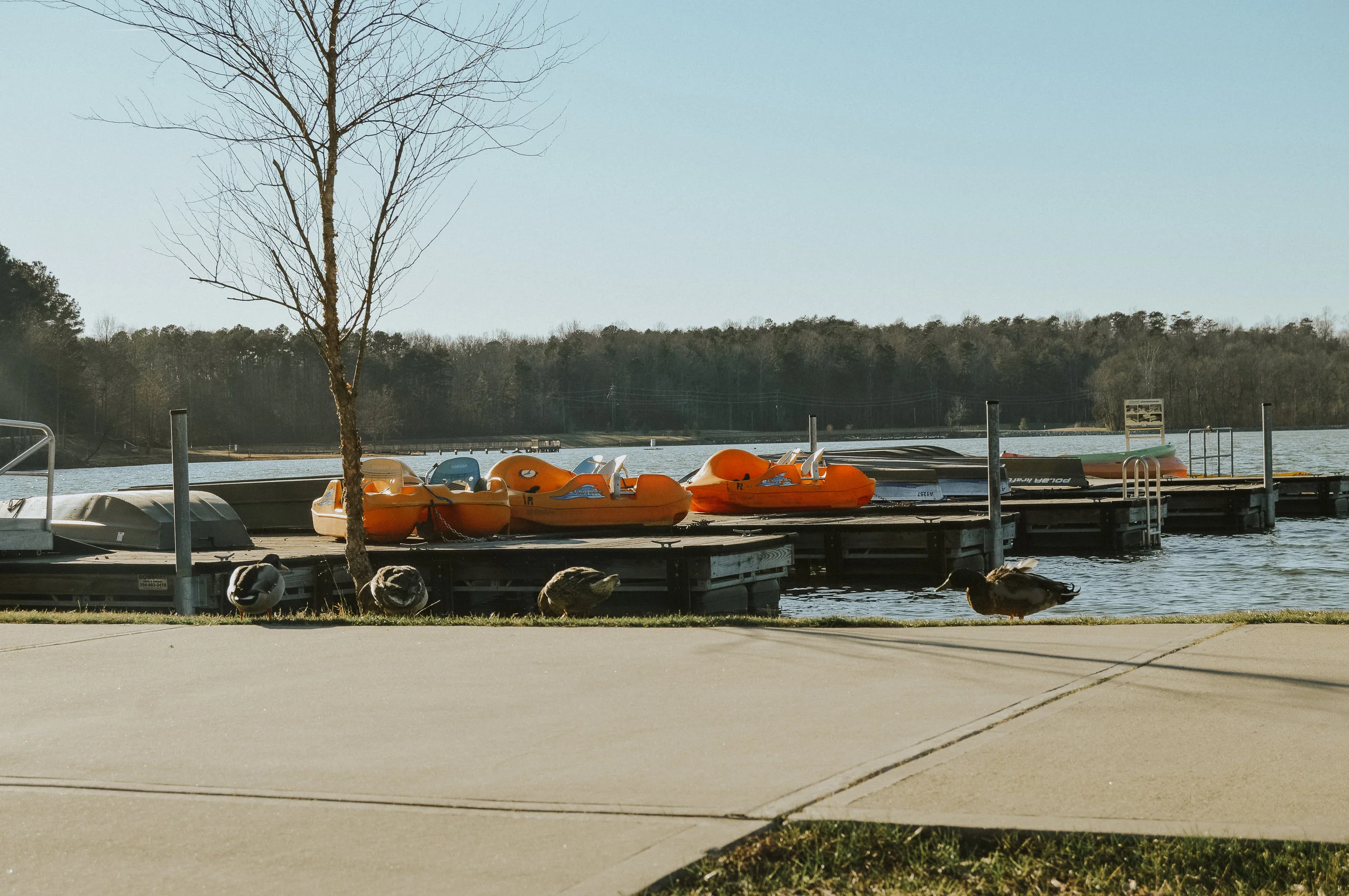 DSC_0799.jpg