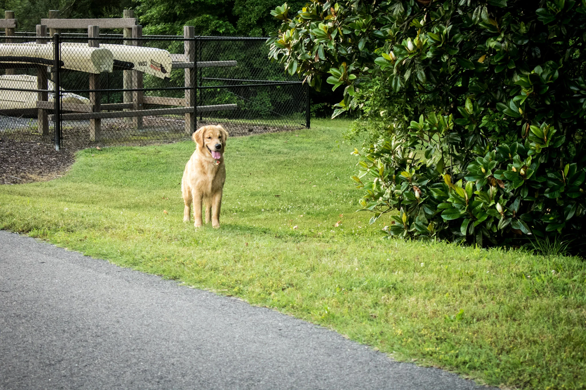 DSC_0171.jpg