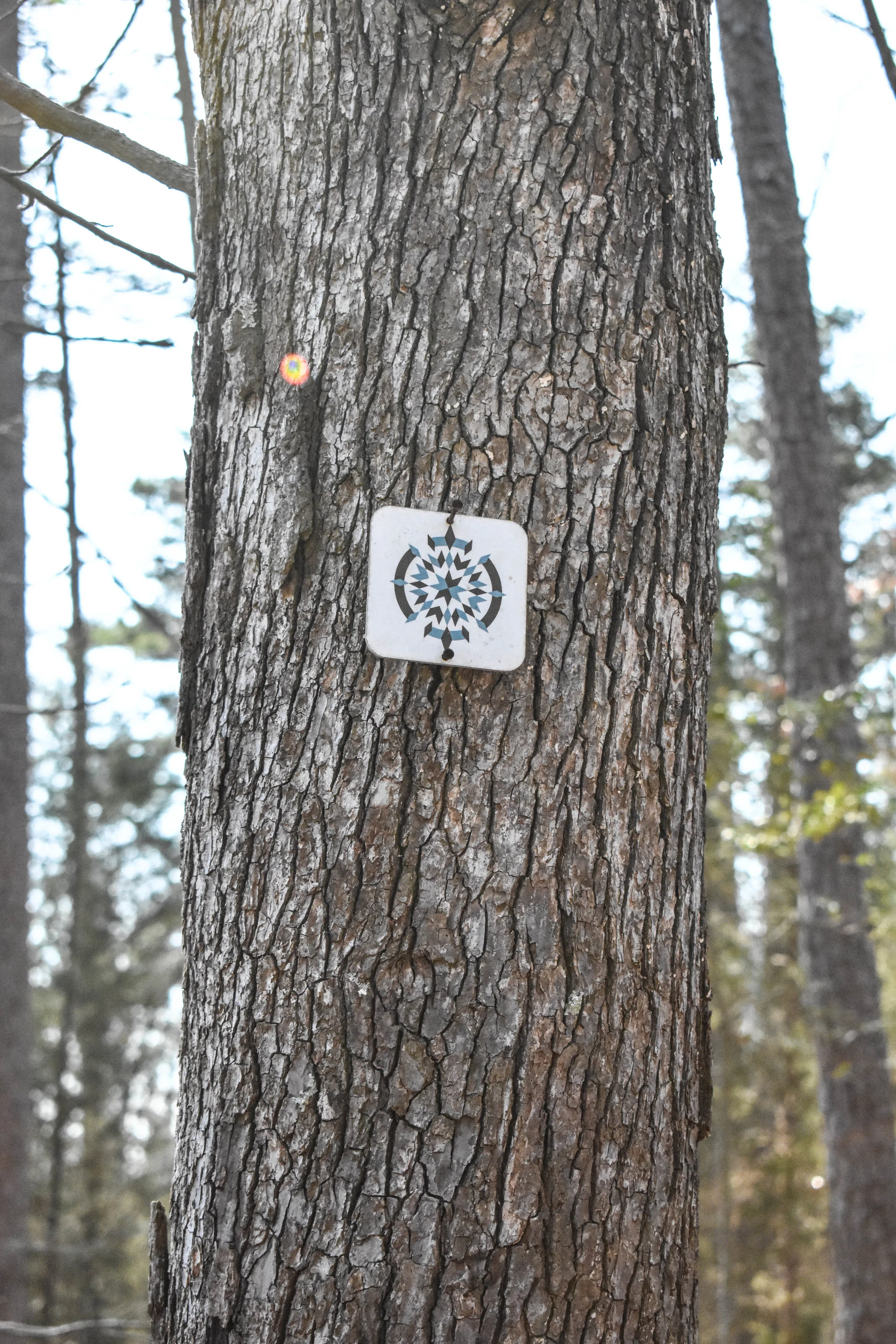 DSC_0384.jpg