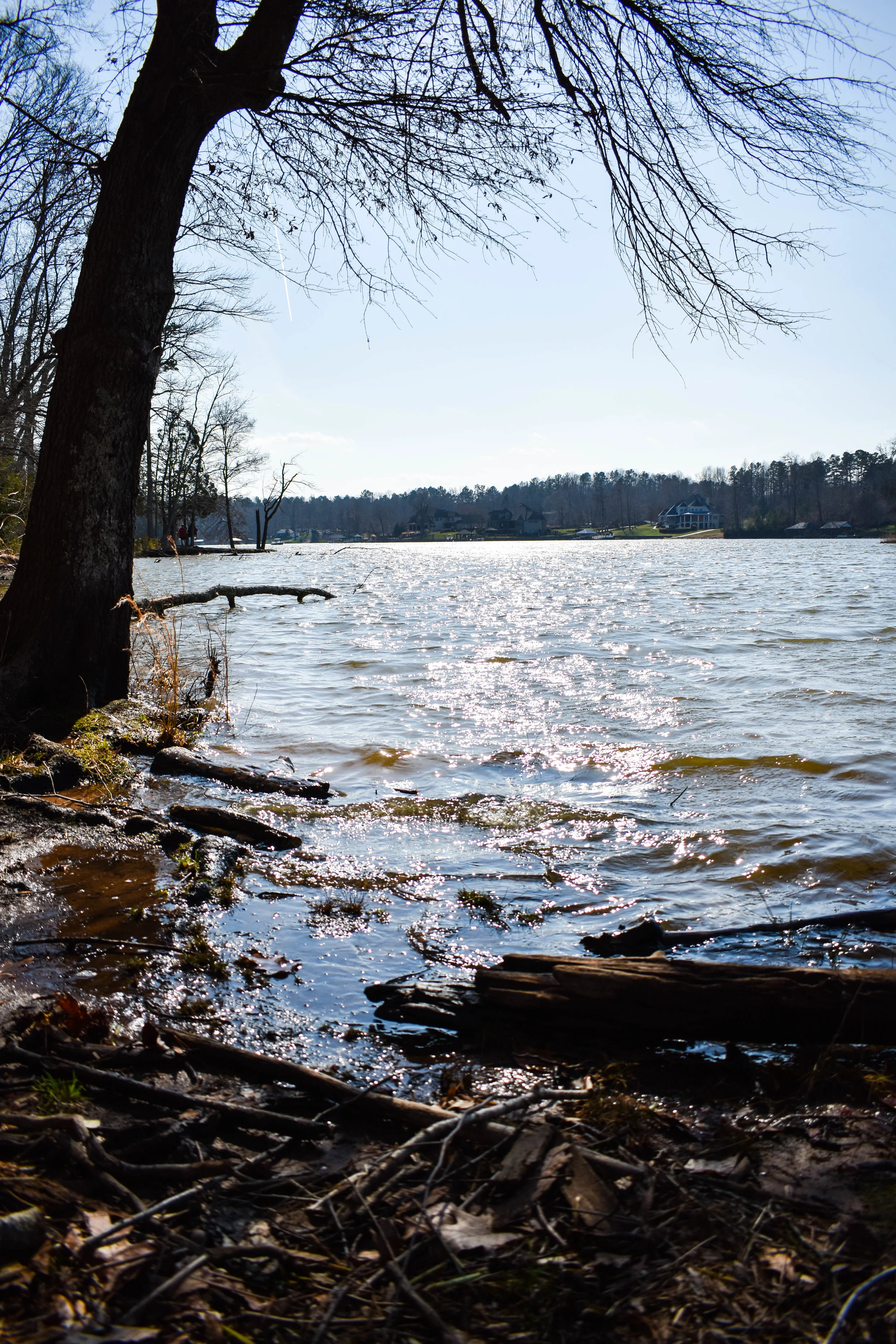 DSC_0400.jpg