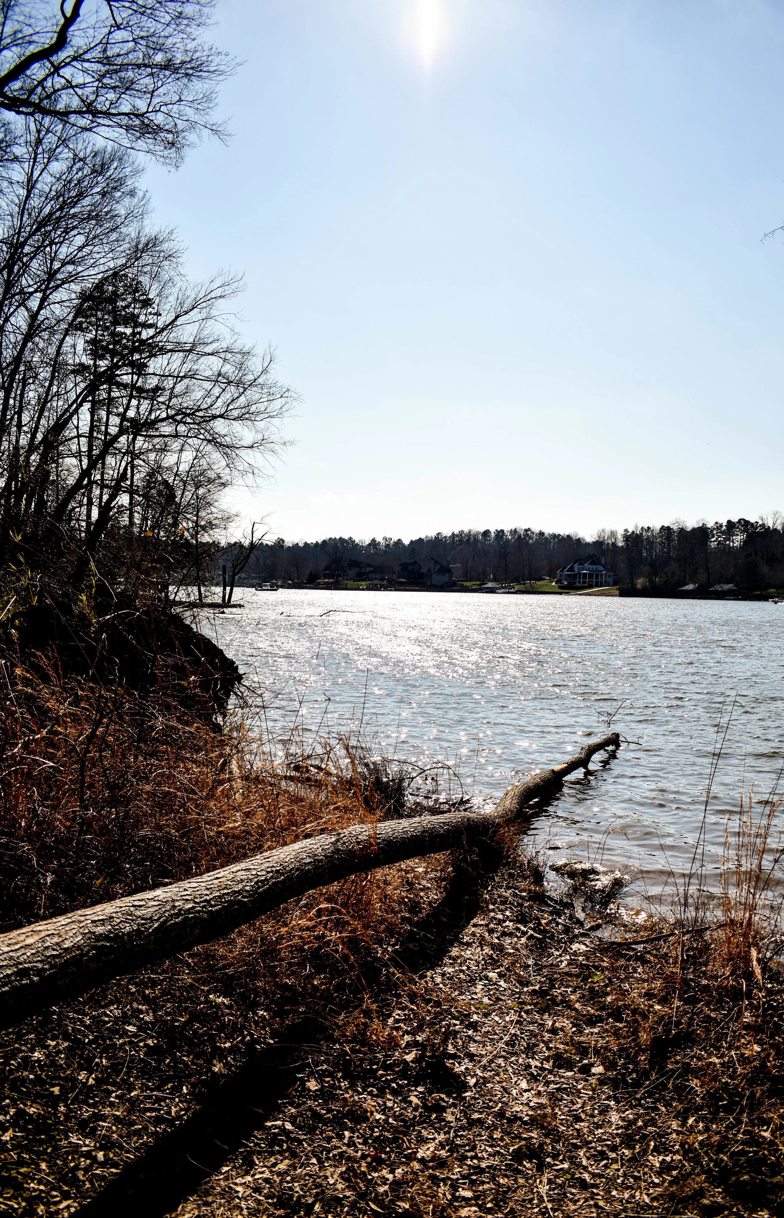 DSC_0416.jpg