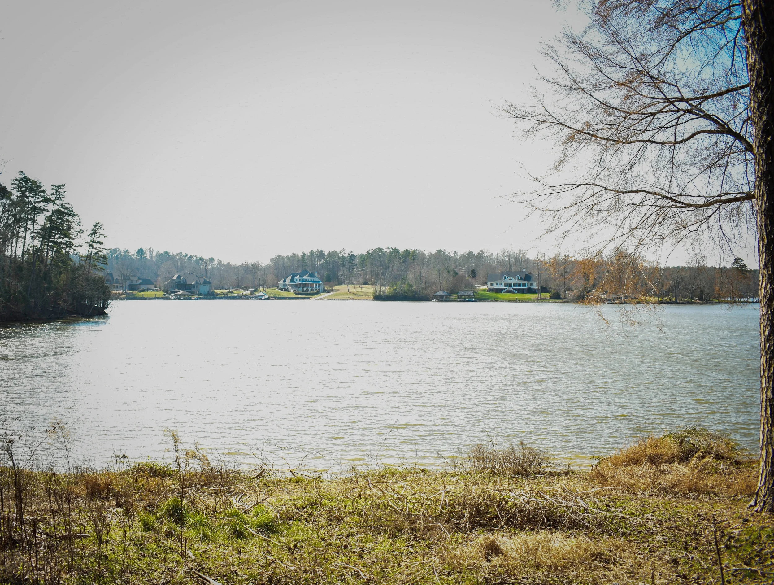 DSC_0389.jpg