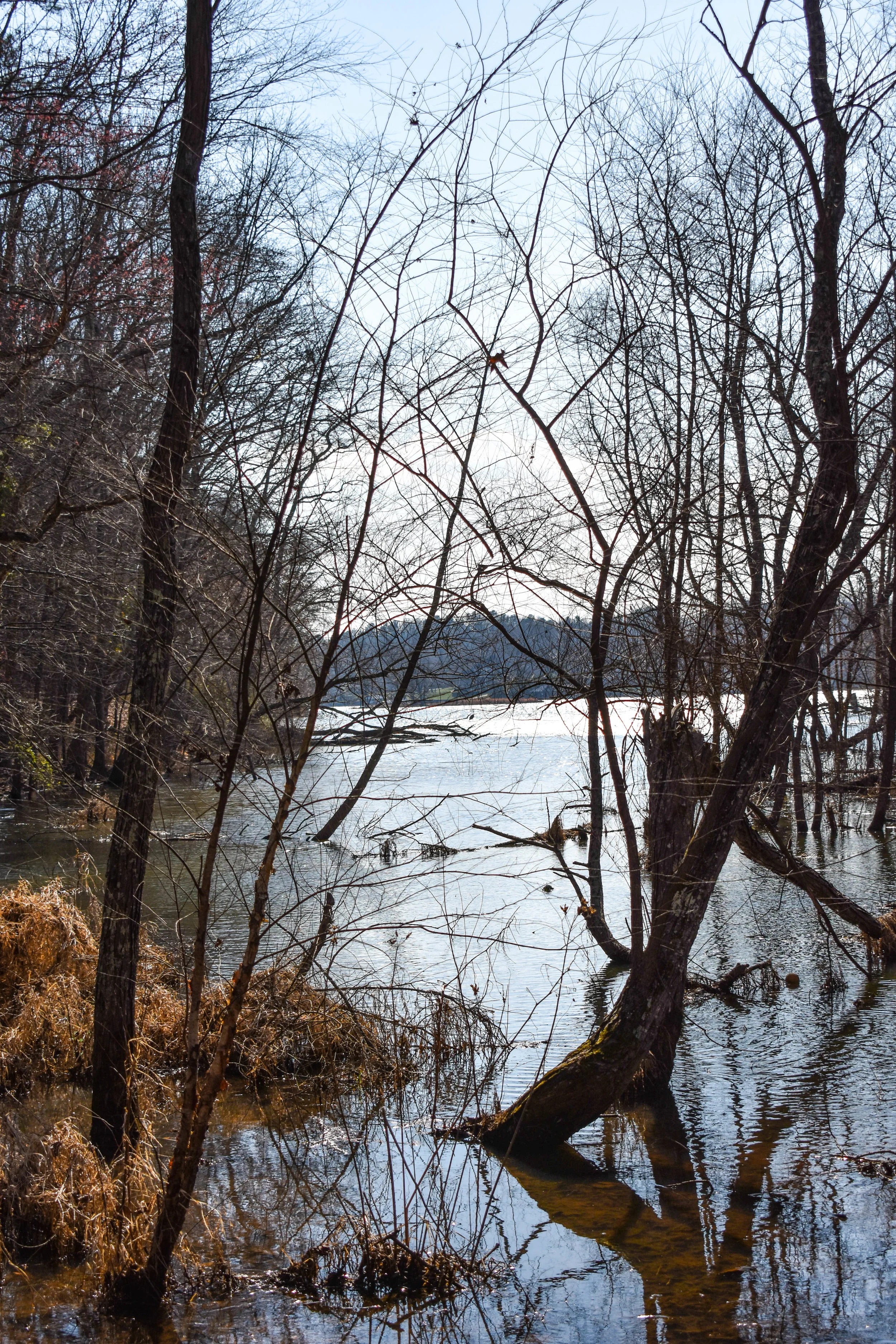 DSC_0443.jpg