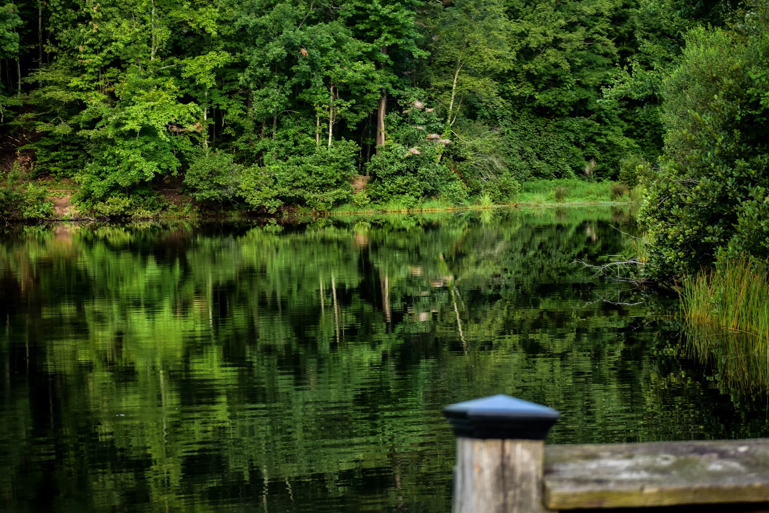 Crowders Mountain State Park
