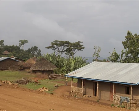 Ethiopia Guji 2.jpg
