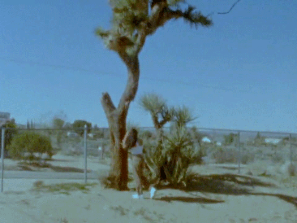 JtreeSuper8gif.gif