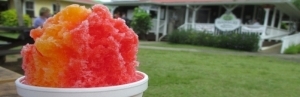 kauai-shave-ice-paradise-size_1230x400-1230x400.jpeg
