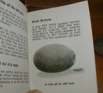 pet rock 1970