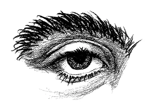 Eye Vector Drawing
