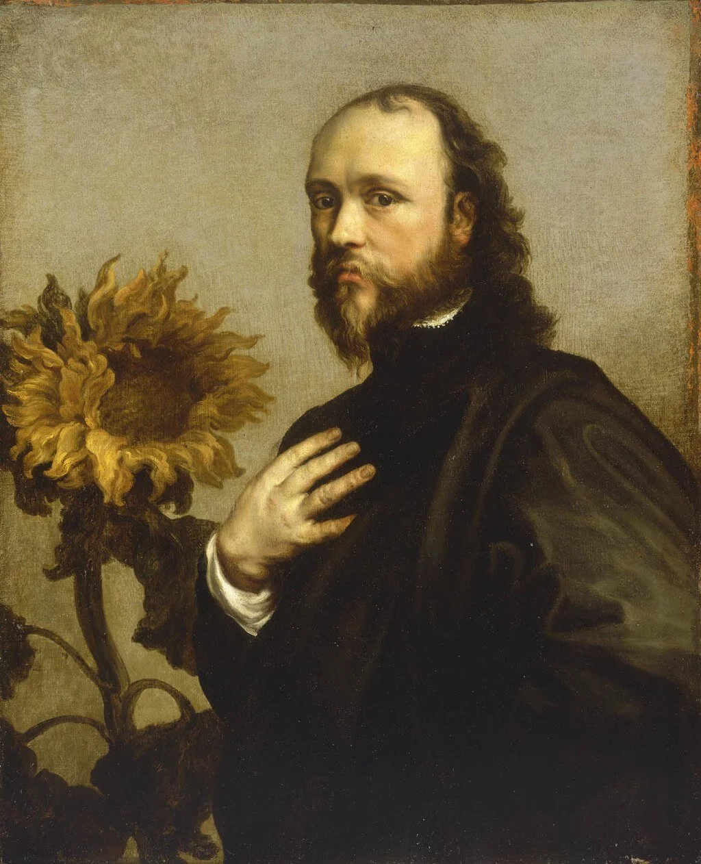 Portrait of Sir Kenelm Digby with a Sunflower by Anthony Van Dyck