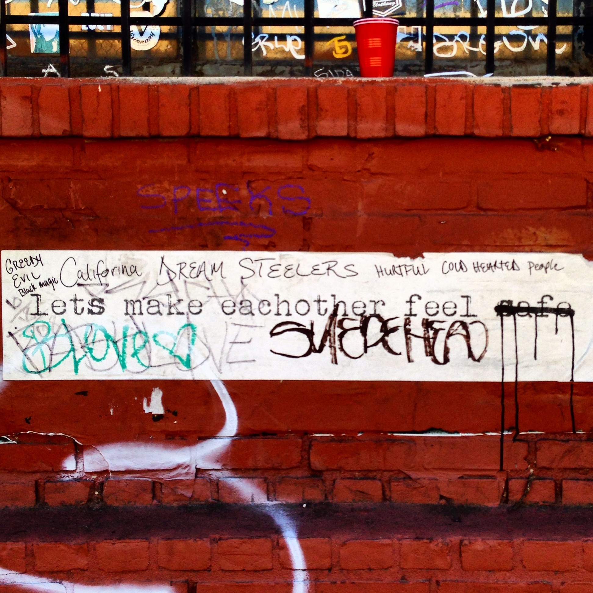 2015 SV reactions_0013.JPG