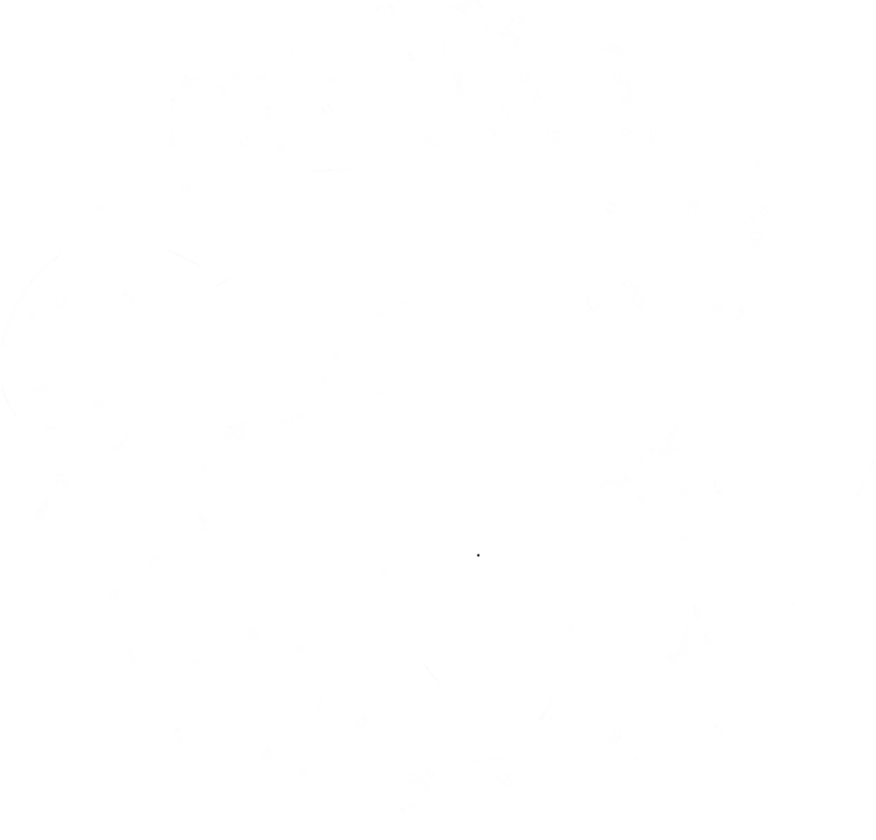 ONE Campaign.webp
