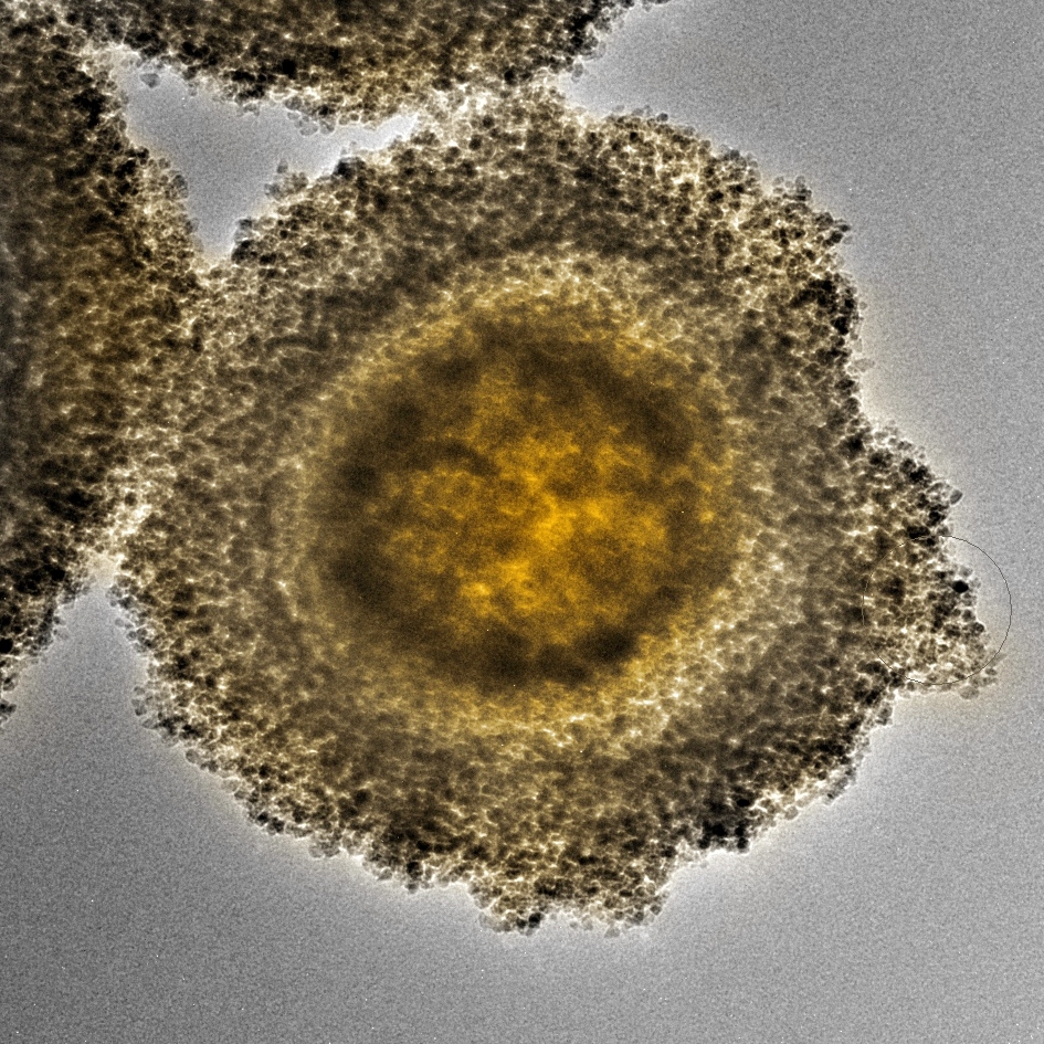 FRANK GU LAB nanotechnology, for a better world VIEW OUR PROJECTS