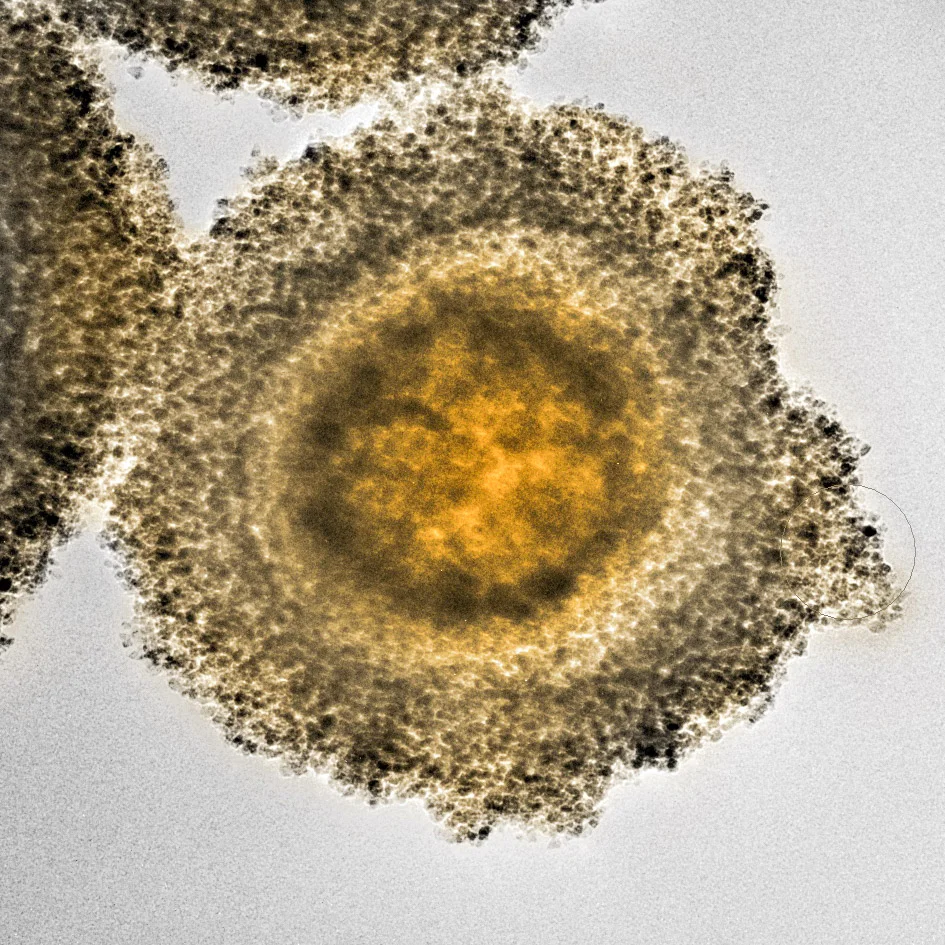 soil.jpg