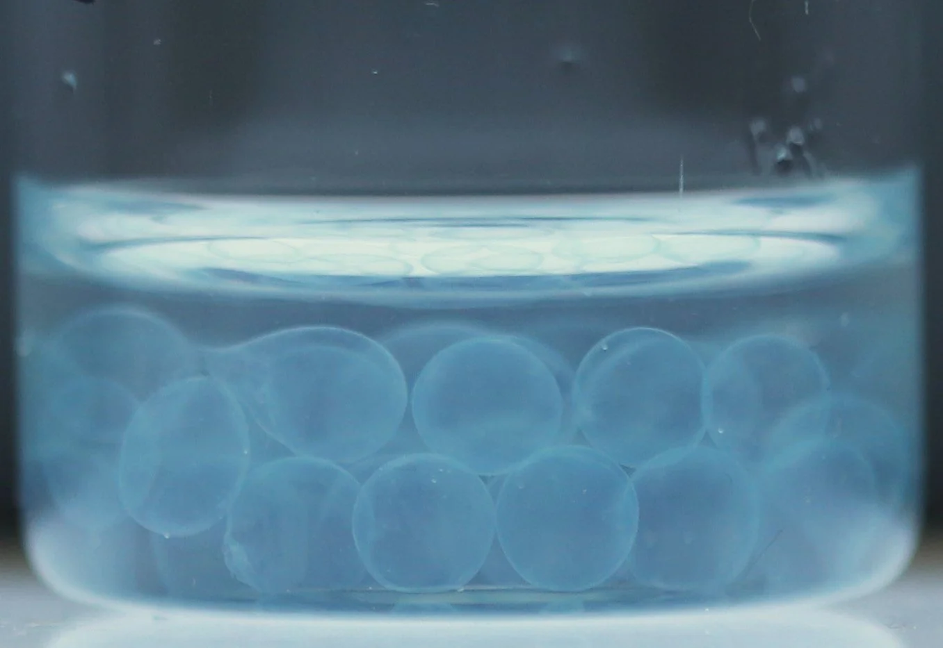 Ionically crosslinked hydrogel beads