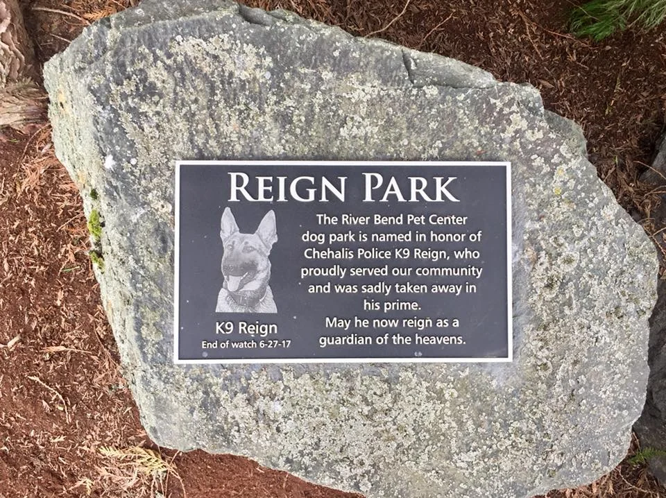 reign park.jpg