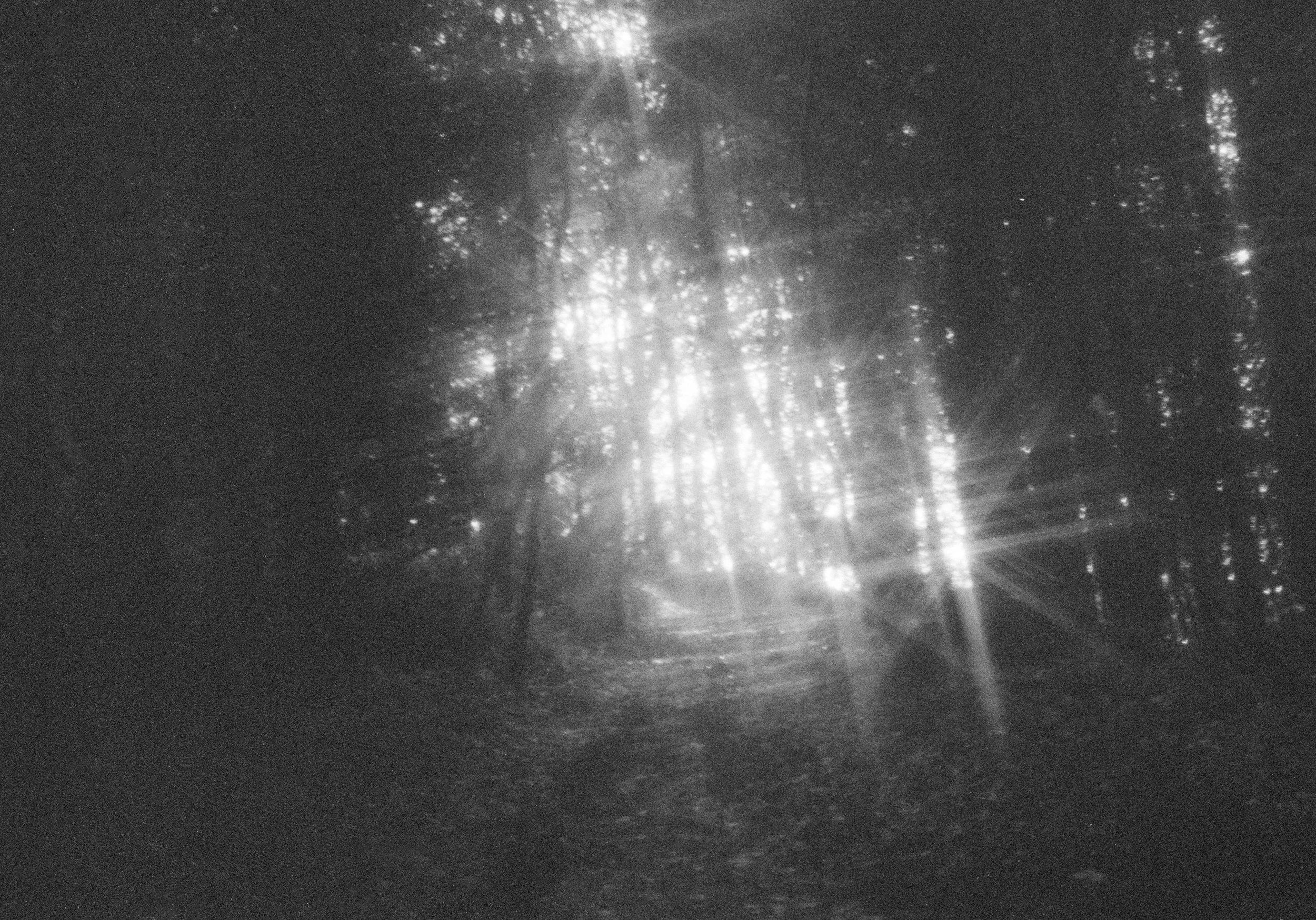  County Wicklow, Ireland  35mm, 2025 