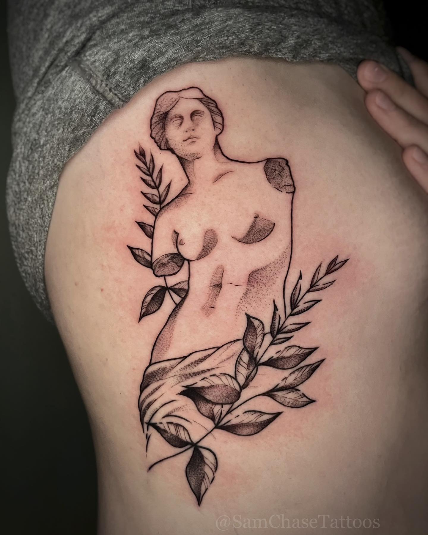 Venus de Milo with some Myrtle on the ribs (yeouch!!) from the day! 🌿✨ Client sat like a rock for this tricky spot, thanks for looking!! 🖤
.
.
.
.
#venusdemilo #statuetattoo #finelinetattoo #dotworktattoo #customtattoo #chicagoartist #naperville #r