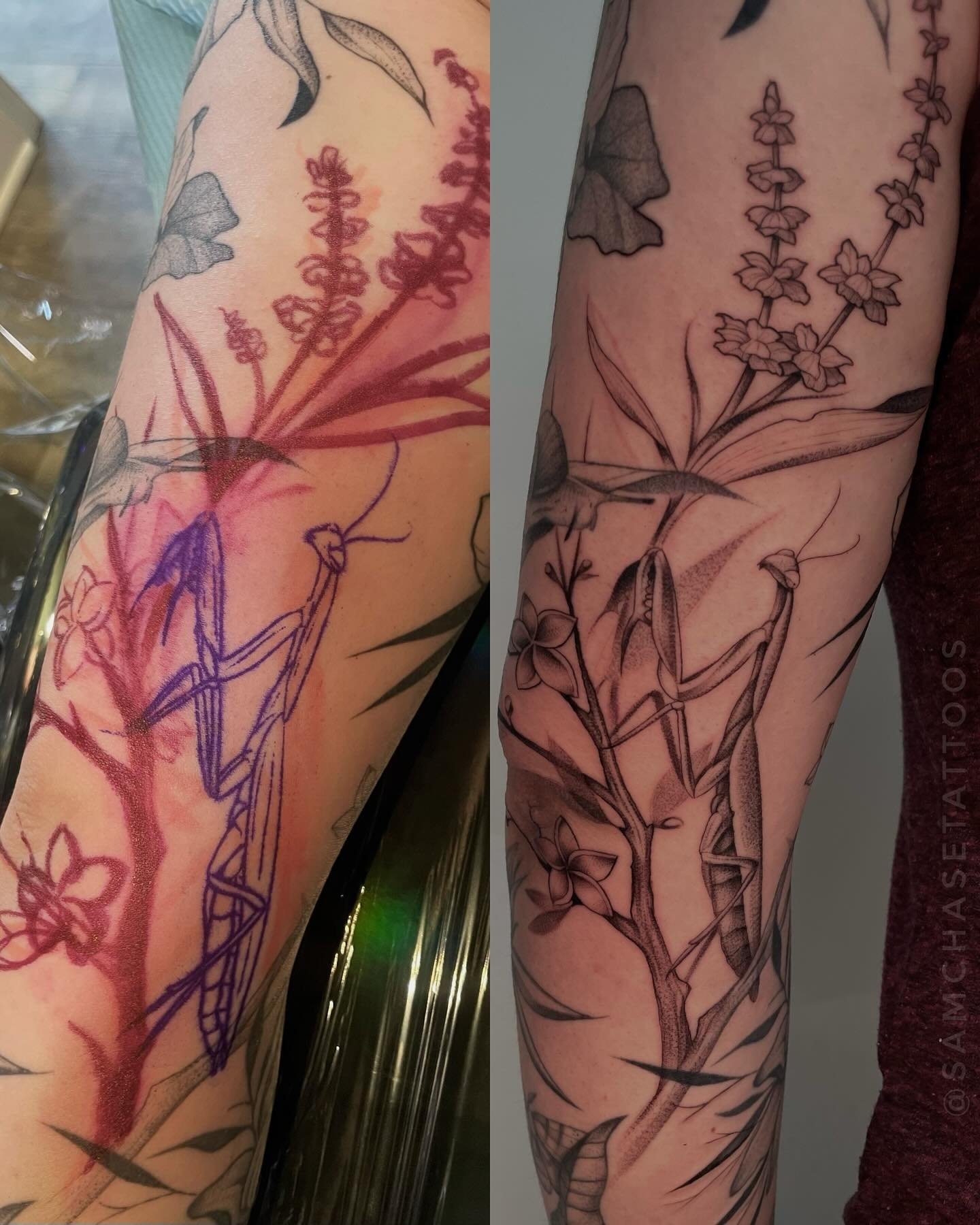 Wrapped up this mostly freehanded nature sleeve 😭🫶🌿 I really challenged myself to improve my study and accuracy on drawing plants, and this project coming to a close is so bittersweet! All leaves, stems, branches, and half the flowers were freehan