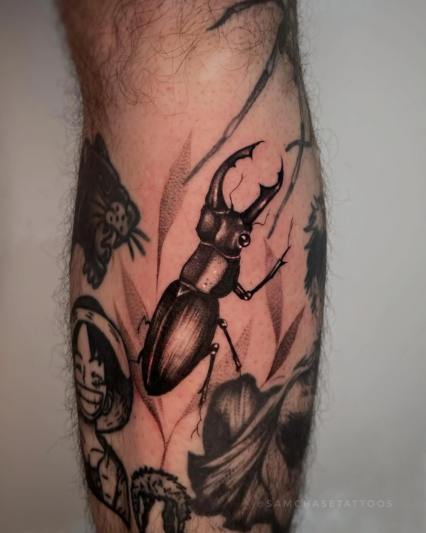 Fun lil black beetle to fill out this funky shaped spot! 🪲 The way it fits into the spider&rsquo;s legs is so satisfying. The spider and Maki are both healed, same with the octopus on the other leg ☺️🐙
.
.
.
.
.
#bugtattoo #insecttattoo #naturetatt