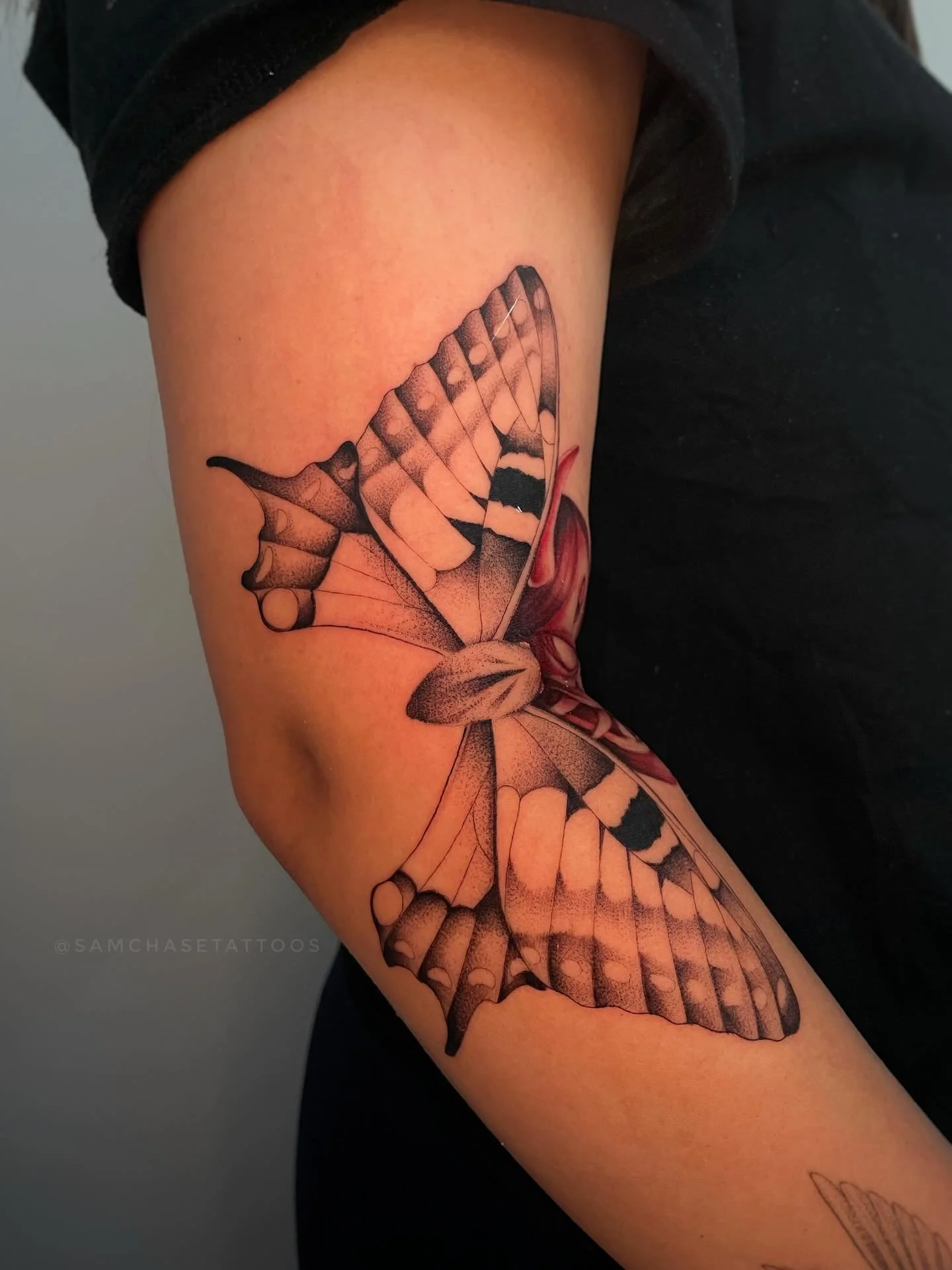 Client had a specific vision/layout for this piece and I was so happy to bring it to life! 🦋👺🖤 I love the bend and the way the butterfly appears to whisper to the oni 
.
.
.
.
.
.
#fineline #customtattoo #redtattoo #oni #hanya #femaletattooartist 