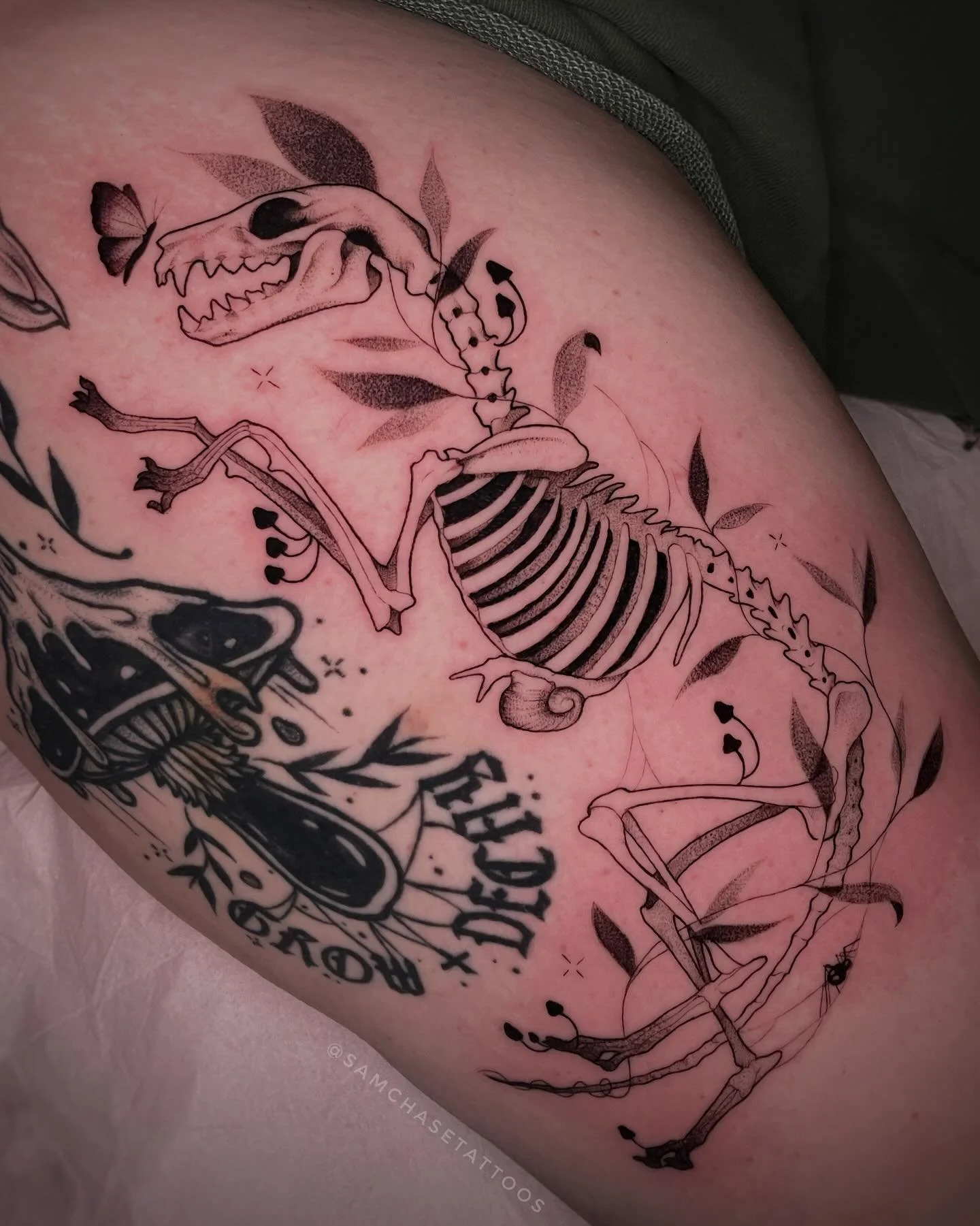 Fox skeleton to custom fit around a mushroom piece we did years back 🦊🌿
.
.
.
.
.
#finelinetattoo #customart #skeleton #horror #nature #growth #naturetattoo #dotwork #fox #foxtattoo #naperville #femaletattooartist #chicago
