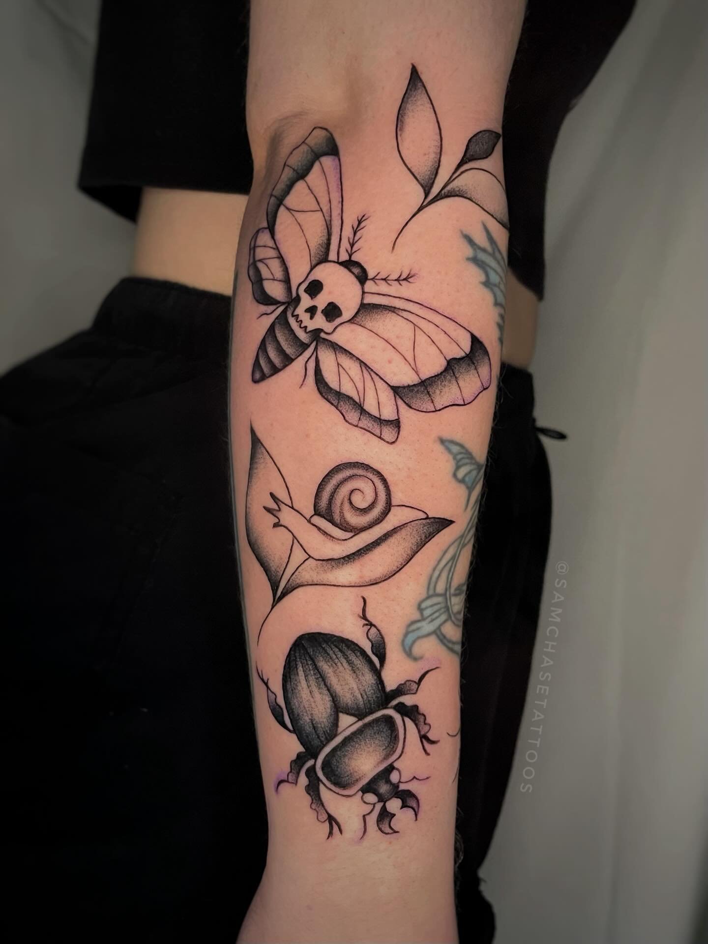 Had so much fun doing these critters to fill in this arm gap on this lovely returning client 🪲🕷️🐌 So grateful for the creative freedom, can&rsquo;t wait to add more in the future! 💕
.
.
.
.
#bugs #bugtattoo #boldtattoo #naturetattoo #blackwork #g