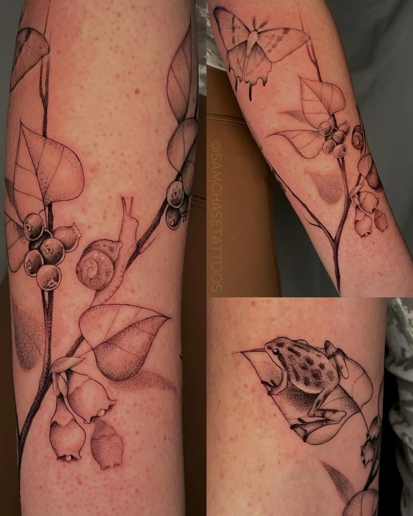 It was such a joy to create this wrapping blueberry branch with all these little critters 🫐🐝🐌 It&rsquo;ll continue wrapping upward to complete the piece, but I&rsquo;m very pleased with what we got done in this session 💕
.
.
.
.
.
#fineline #fine