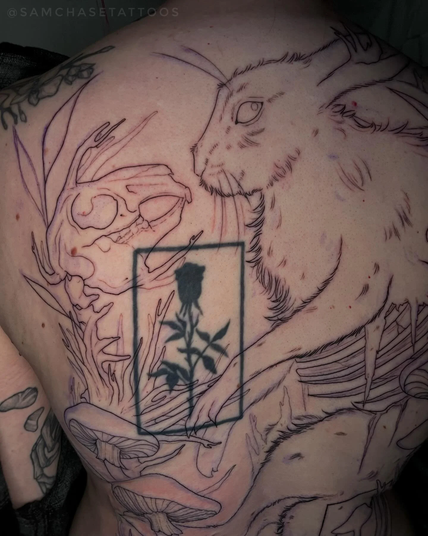 Lined out this back piece and I absolutely can&rsquo;t wait to start shading and color next time! 🐇🍄 Inspired by the book cover of &lsquo;What Moves The Dead&rsquo;. The rose tattoo (not by me) was already there and will be incorporated into the fi
