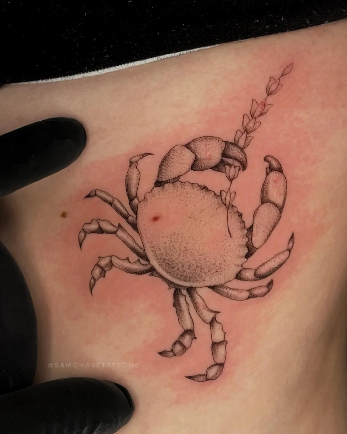 Little crab holding a lavender sprig for this client in remembrance of a loved one 🦀🪻
Made using @emalla.official 
.
.
.
.
#cancersign #finelinetattoos #dotworktattoo #femaletattooartist #naperville