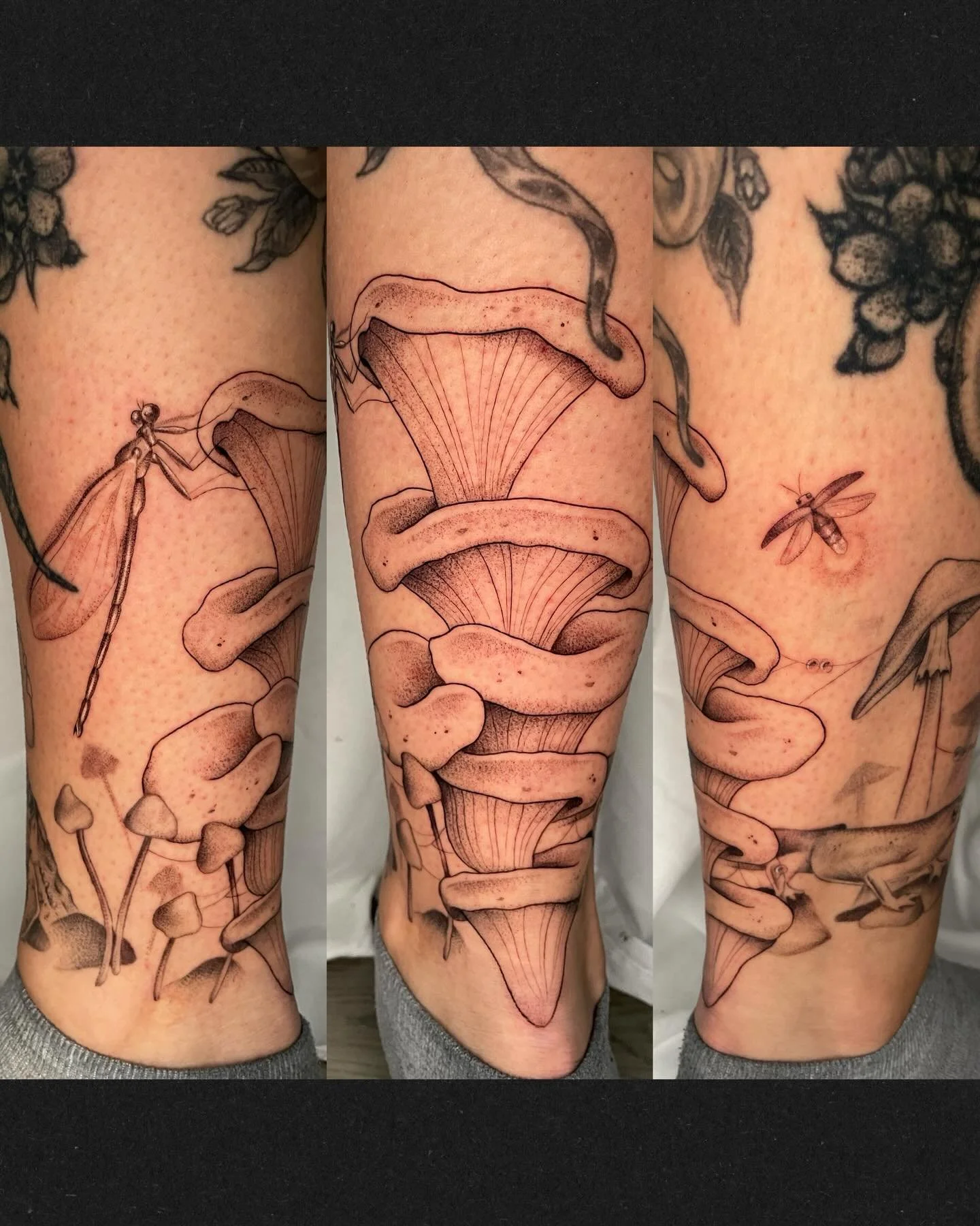 Finished this wrapping mushroom and critter lower calf piece recently! 🍄🐸 All mushrooms freehanded, all critters stenciled. This was such a blast to work on and pull together, always grateful for the creative freedom and trust
.
.
.
#mushroomtattoo