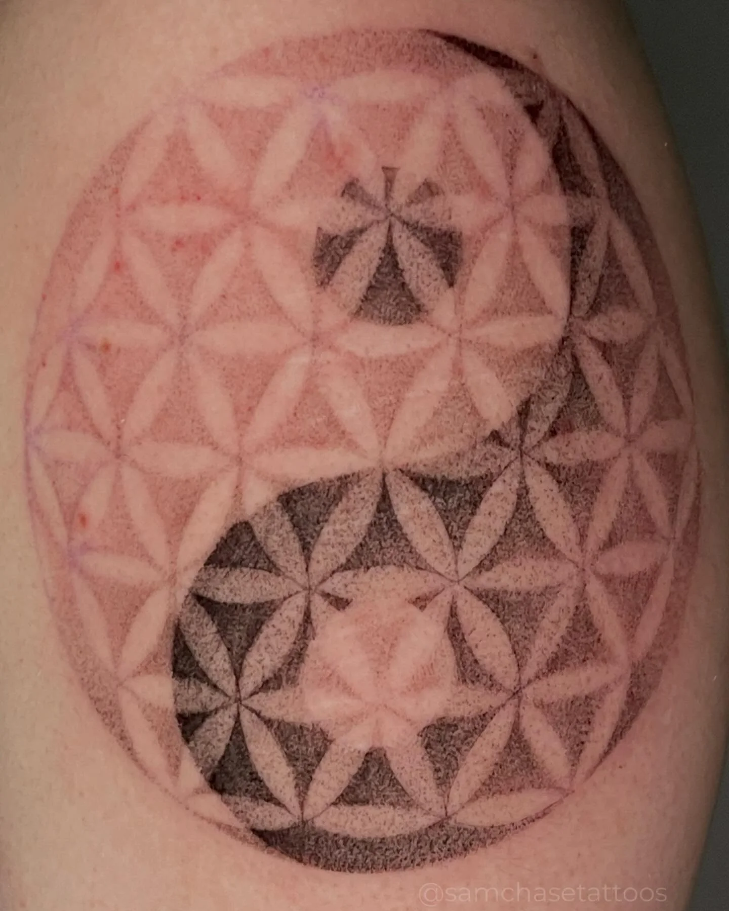 A fun and trippy flower of life patterned yin yang for this lovely first time client! ☯️ This definitely put my precision to the test and I&rsquo;m really pleased with the outcome 🖤
.
.
.
.
#yinyang #naperville #fineline #finelinetattoo #dotworktatt