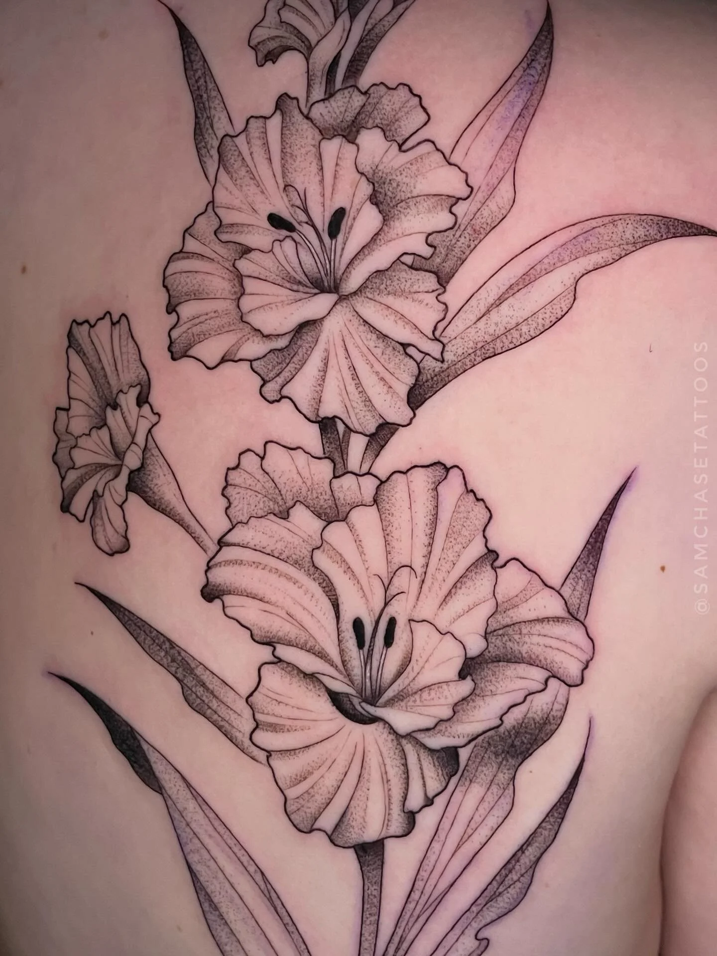 August flower (Gladiolus) for this first time client o&rsquo; mine! 💕🌸 Just over 3 hours, custom always 🕺
.
.
.
.
#gladiolus #floraltattoo #femaletattooartist #chicagotattooartist #naperville