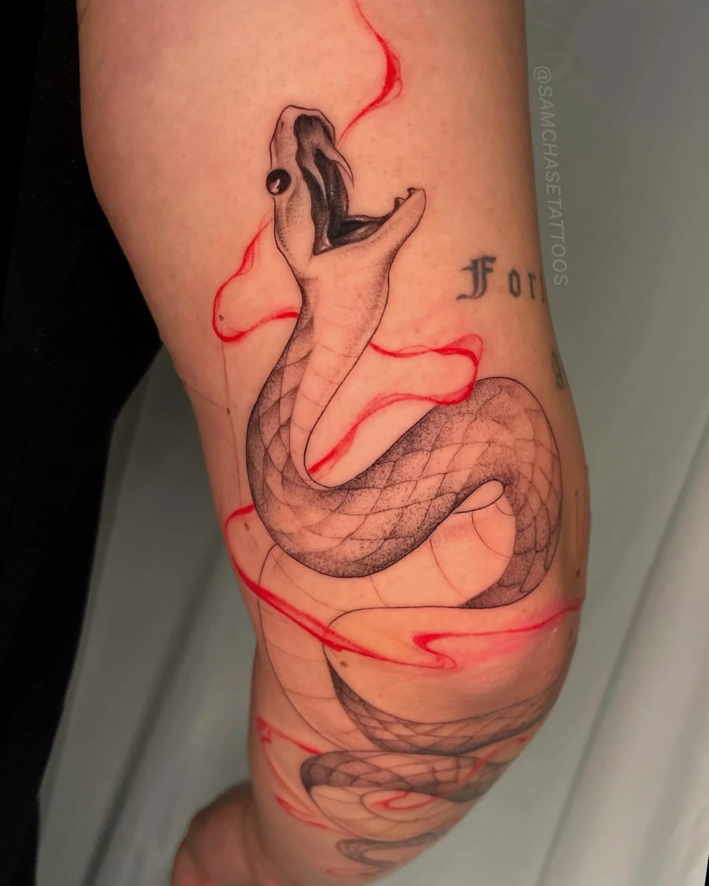 Black Mamba and red smoke for this lovely returning client! 🖤🐍❤️ Custom always, around the elbow, took about 6 hours
.
.
.
#snaketattoo #blackandredtattoo #blackmamba #femaletattooartist #naperville