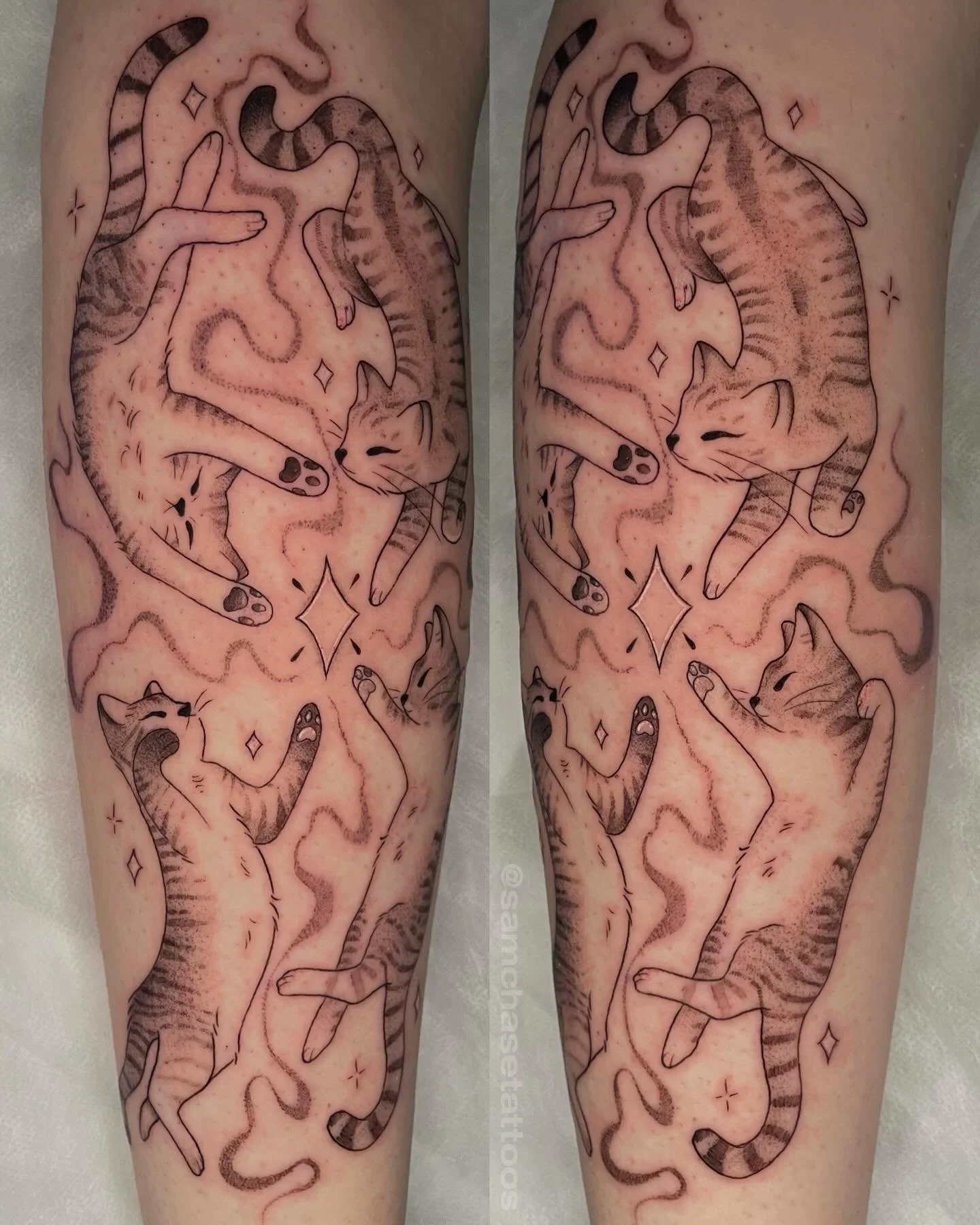 My clients four lovely tabbies! 🖤🐈🐈🐈🐈
This was such a blast to put together, and they provided photos so I could match the markings to each cat 🥹 so cute! Wraps a bit
.
.
.
.
#cattattoo #customtattoo #naperville #dotwork #fineline