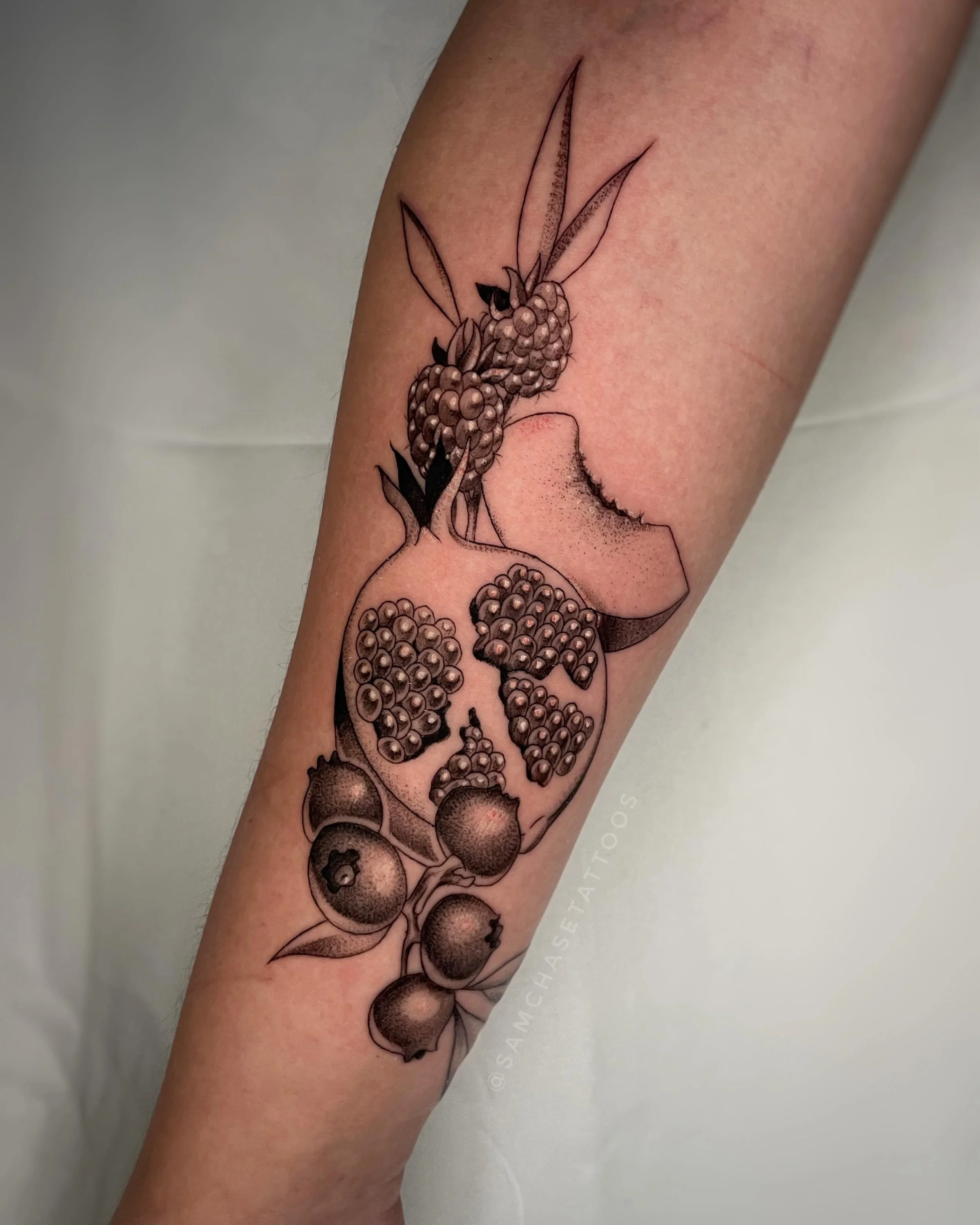 What&rsquo;s your favorite fruit? 🍒🍇🫐 here are some of my client&rsquo;s favorites! A pomegranate, blueberries, raspberries, and a peach slice all happily situated together ☀️
.
.
.
.
#fruittattoo #dotworktattoo #femaletattooartist #blackandgreyta